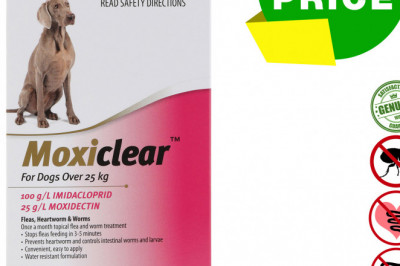 MOXICLEAR Flea Heartworm Worms Treatment for Over 25 Kg Dogs