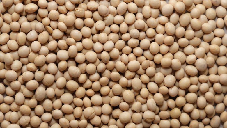 Soy Hulls Market - Global Industry Analysis, Forecast 2028
