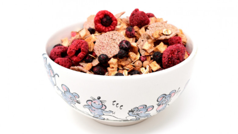 Global Freeze-Dried Fruits and Vegetables Market – Industry Trends and Forecast to 2027