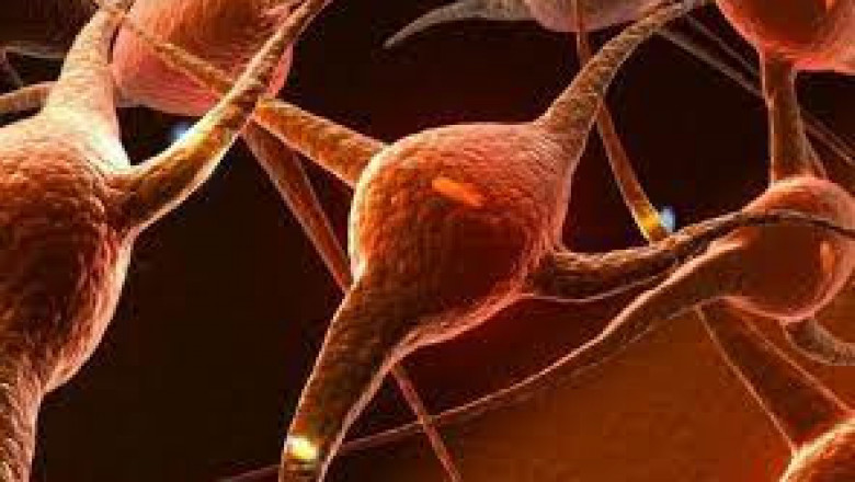 Specific Mitochondrial Disorders Treatment Depends Upon Their Severity and Diagnosis