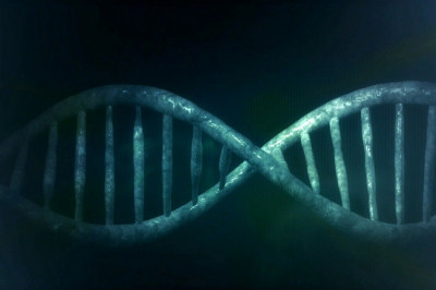 The novel vaccine delivery devices market is estimated to be worth USD 1.5 billion in 2030, predicts Roots Analysis