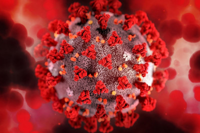With more than 20 supported items and a few being worked on, the Avastin® biosimilars market is projected to observe essential development throughout the next few years, claims Roots Analysis