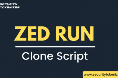 Zed Run Clone Script