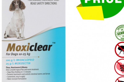 MOXICLEAR Flea Heartworm Worms Treatment for 10-25 Kg Dogs