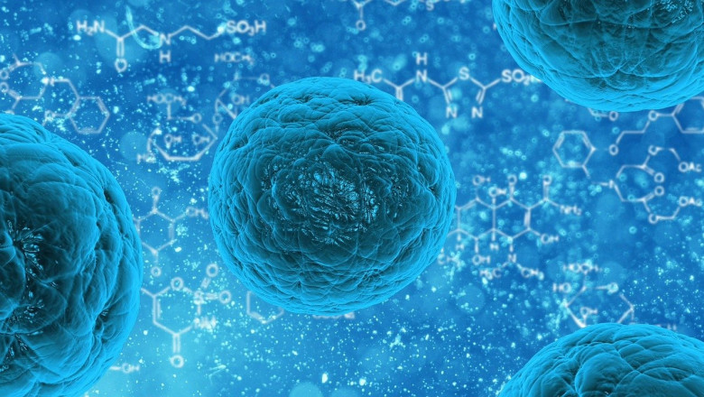 The CAR-T cell therapy market is estimated to be worth USD 14 billion in 2030, predicts Roots Analysis