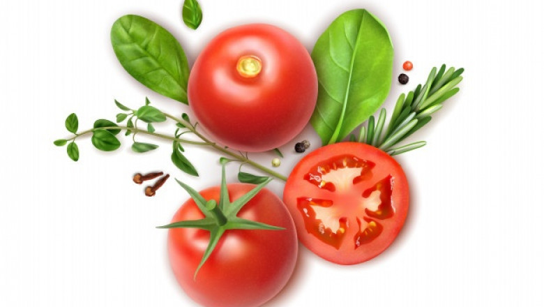 Tomato Seeds Market: Industry Analysis and Forecast (2021-2027) by Type, Growing Technology and Region.
