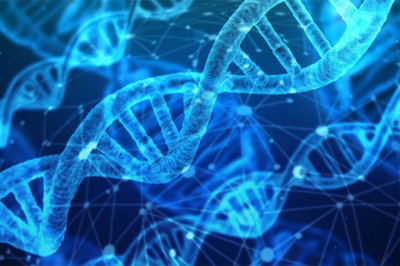 Bioinformatics Market expected to reach at a CAGR of 16.5% in the forecast period 2019 to 2026