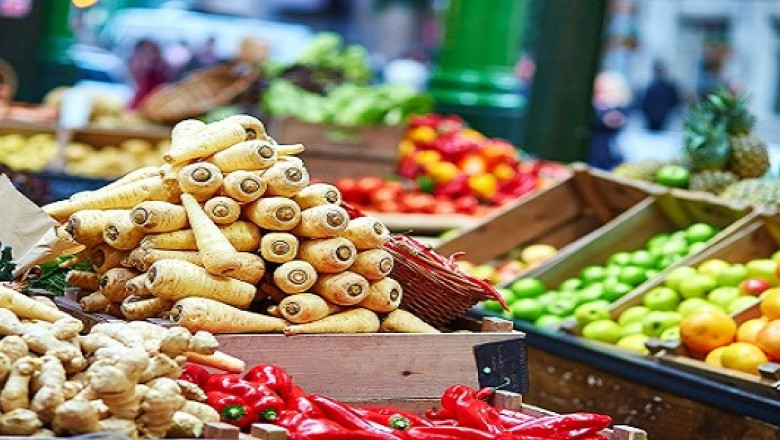 Food Biotechnology Market Research & Development, Testing & Production Services