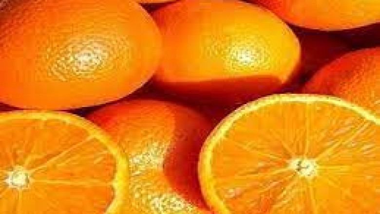 Orange Pulp Market – Huge Growth Opportunity by Trend, Key Players and Forecast 2027