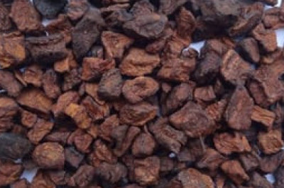 Plant-based plant substitute Chicory Products are sometimes added to coffee and also act as dietary fiber