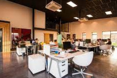 Expand your brand with Red Deer SEO services