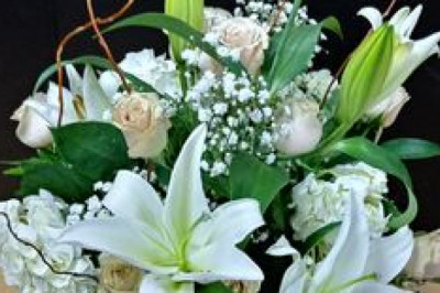 Online Flowers for All Occasions