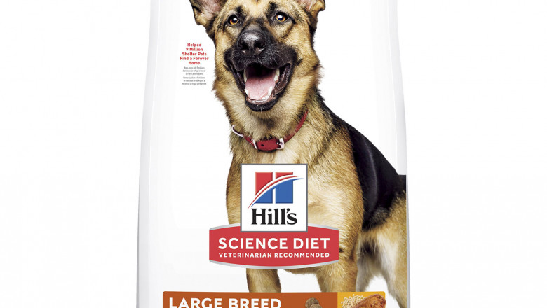 Hill's Science Diet Adult 6+ Senior Large Breed Dry Dog Food