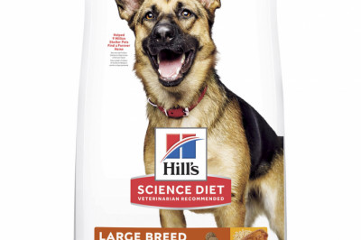 Hill's Science Diet Adult 6+ Senior Large Breed Dry Dog Food