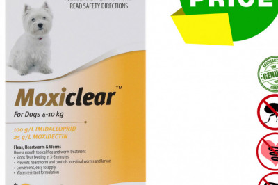 MOXICLEAR Flea Heartworm Worms Treatment for 4-10 Kg Dogs