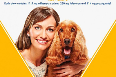 Sentinel Spectrum protection from flea and worms for 11-22Kg dogs 6 Chews