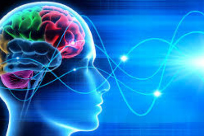 The Neuromarketing Solution has emerged as a powerful tool in the neuroscience field