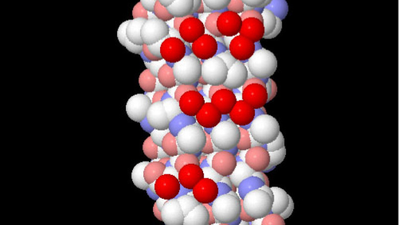 Cold-blooded animals produce antifreeze proteins (AFPs) to prevent ice crystals from forming in their blood