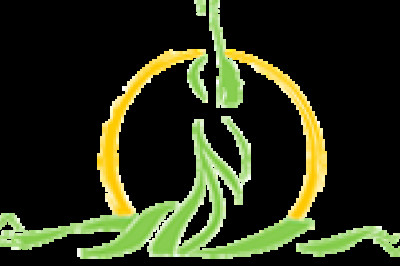 Dhyana Dubai - The Best Best Yoga Classes in Dubai