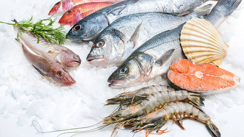 Frozen Fish & Seafood Industry Opportunities & Trends for Expansion during 2021-2029