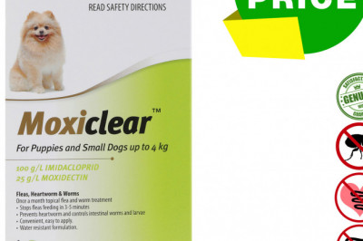 MOXICLEAR Flea Heartworm Worms Treatment for Upto 4 Kg Dogs