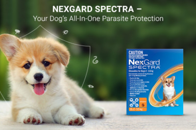 Nexgard Spectra | Your Dog's All-In-One Parasite Protection | DiscountPetCare