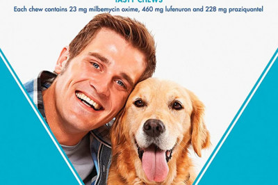 Sentinel Spectrum protection from flea and worms for 22-45Kg dogs 6 Chews