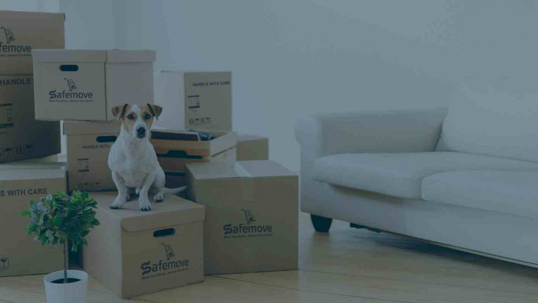 Top packers and movers in Wakad, Pune