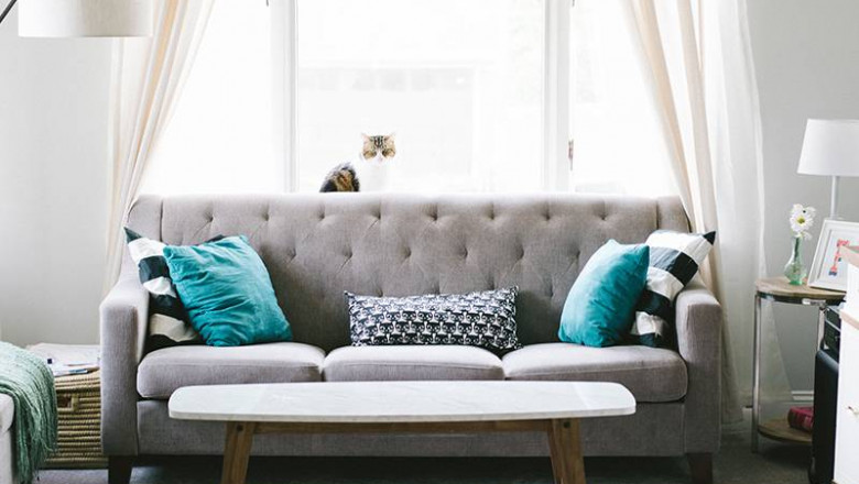 How to clean the sofa Upholstery?
