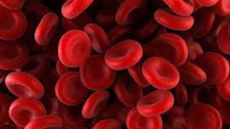 Hematology Market Industry Analysis & Forecast to 2026