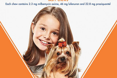 Sentinel Spectrum protection from flea and worms for Upto 4Kg dogs 6 Chews