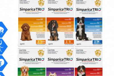SIMPARICA TRIO Monthly Worm Flea Tick Control 3 Chews for Dogs