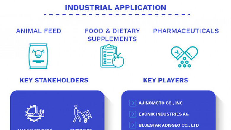 Amino Acids Market Size By Product, By Raw Material, By Application, By Geographic Scope & Forecast