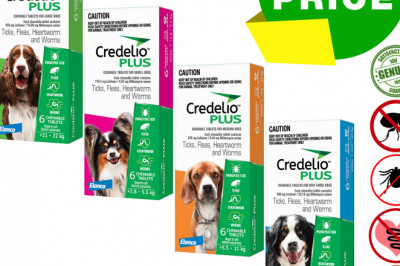Credelio Plus Flea Tick Worm Protection 6 Chews for Dogs