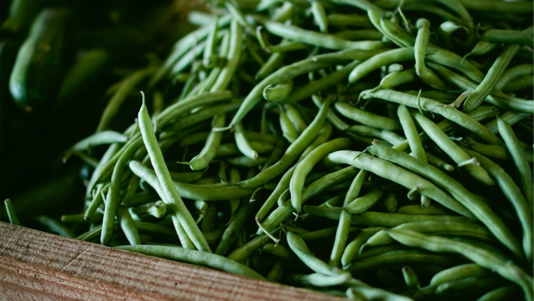 Dehydrated Green Beans Market to grow at CAGR of 4.5% during 2018-2027