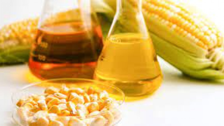 Global Bioethanol Market Volume Analysis, Segments, Value Share and Key Trends