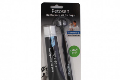 Petosan Toothpaste and Brush Kit 1 Piece Green for Large Dogs