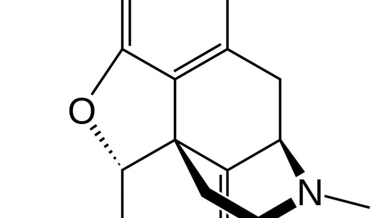 Sales Revenue Of Thebaine Market To Soar In The Near Future Owing To Growing Consumer Adoption