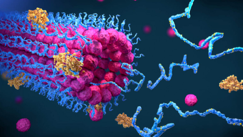 Brief Analysis on Functional Proteins Market 2021 Industry Trends and Future Growth Predictions
