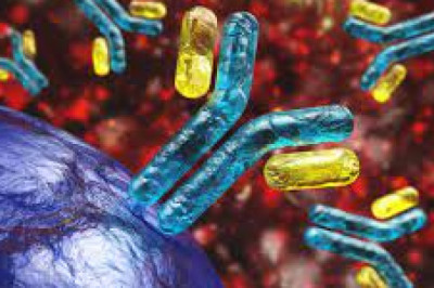 Protein Sequencing Market Trends, Strategies, Potential Growth and Demand Analysis Forecast to 2027