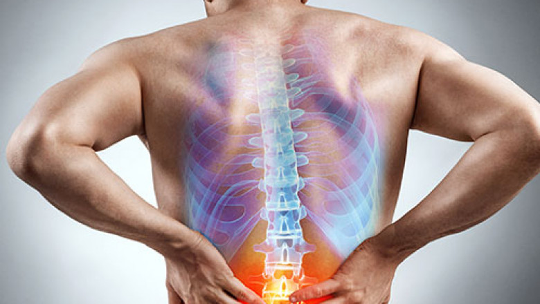 Harvard Trained Neck Pain Doctor In New York