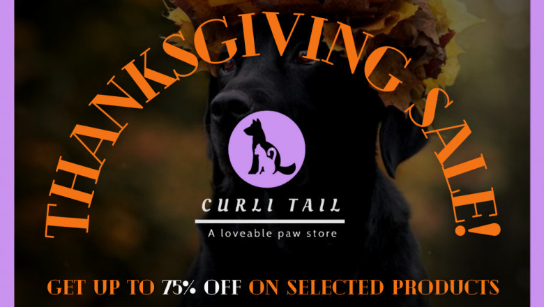 Personalized Pet Collar Leash Harness Set | Curlitail