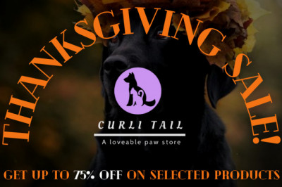 Personalized Pet Collar Leash Harness Set | Curlitail