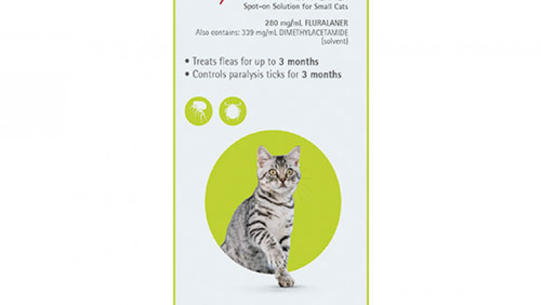 Bravecto Spot On Flea & Tick Treatment For Cats | DiscountPetCare