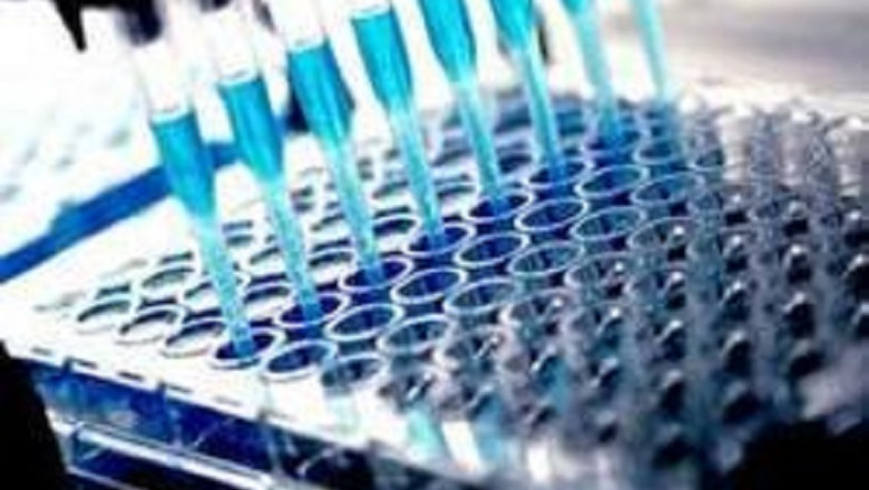 Endotoxin Tests Market Analysis, Demand, Strategies, Forecast  including covid19 Impact