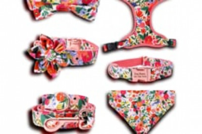 Free Engraving on Personalized Dog ID Collar Set with Leash, Flower, Bandana and Harness