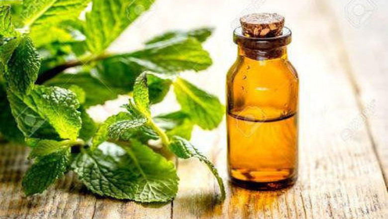 Global Herbal Extracts Market Size Prognosticated to Observe a Living Growth by 2027 performed by a new report | Martin Bauer, Indena, Euromed