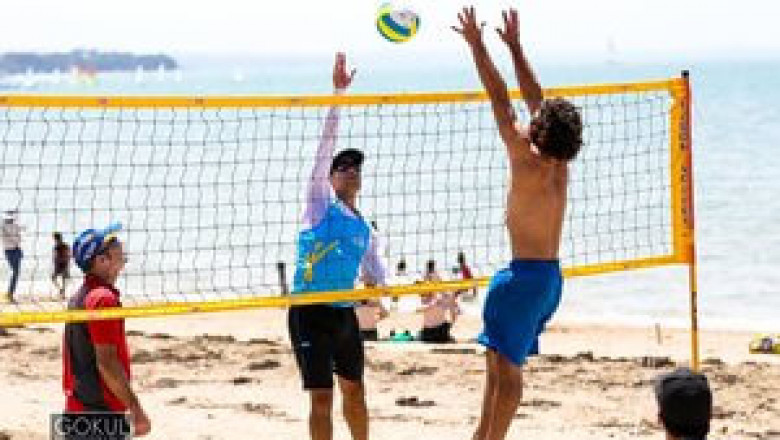 Short Information Regarding Volleyball Establish You Required to Identify