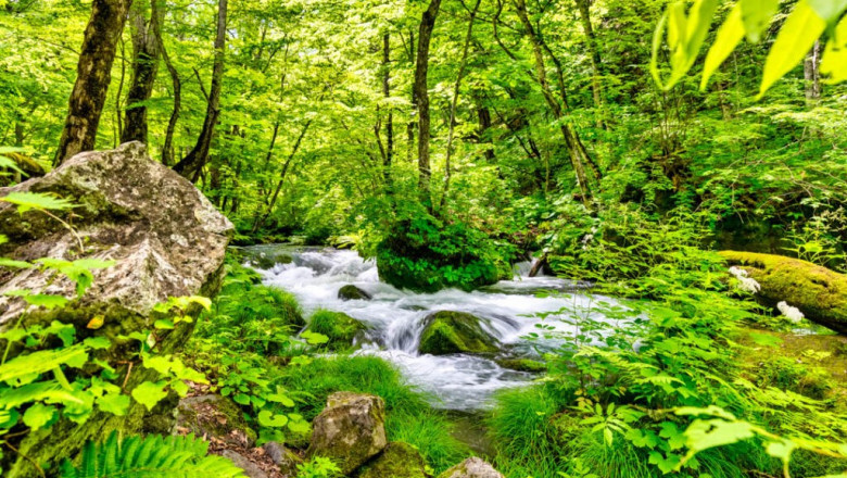 Oirase Gorge