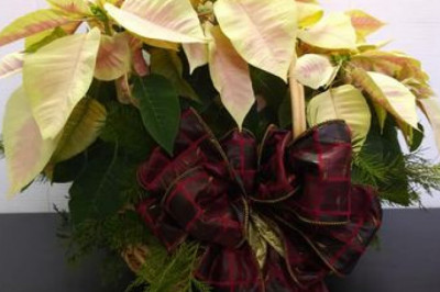 Best Online Flower Delivery